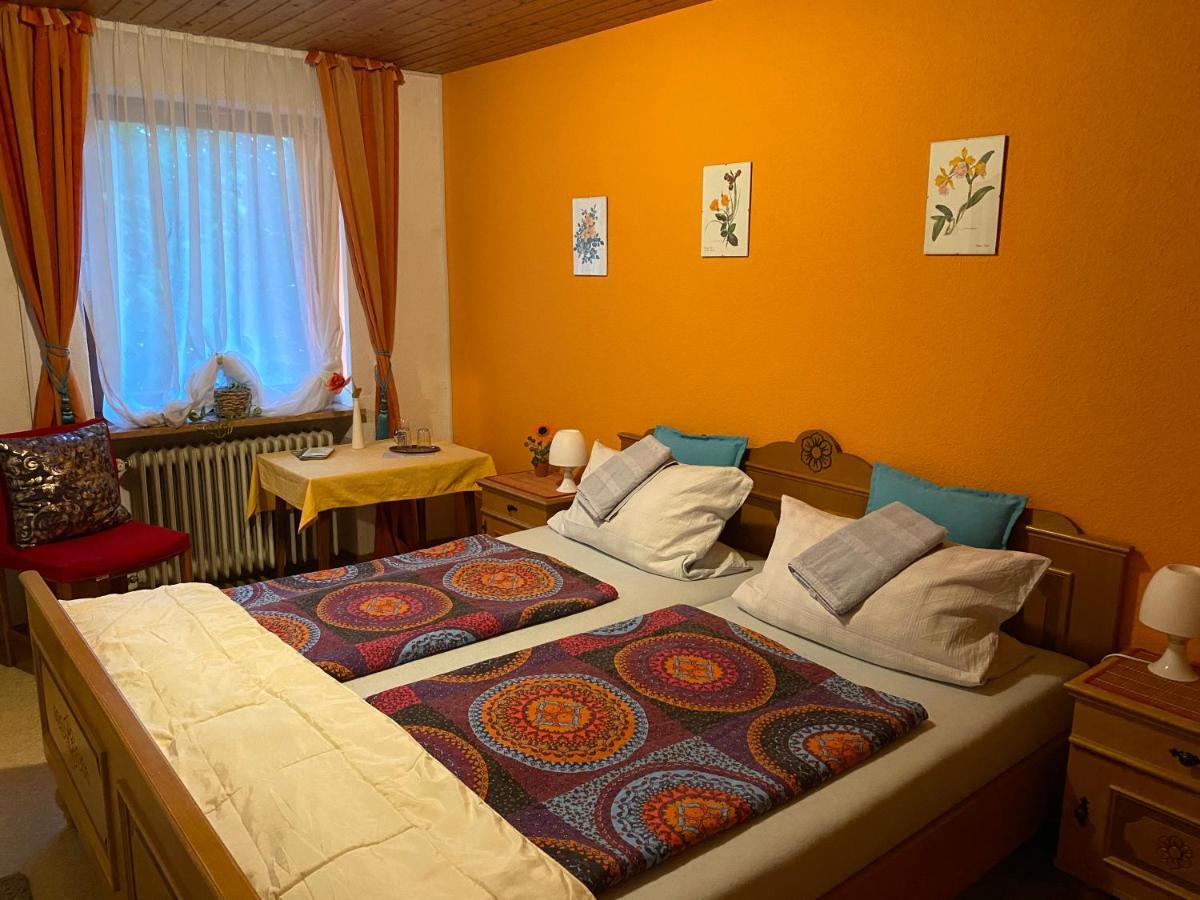 Pension Waldblick Шпигелау Экстерьер фото