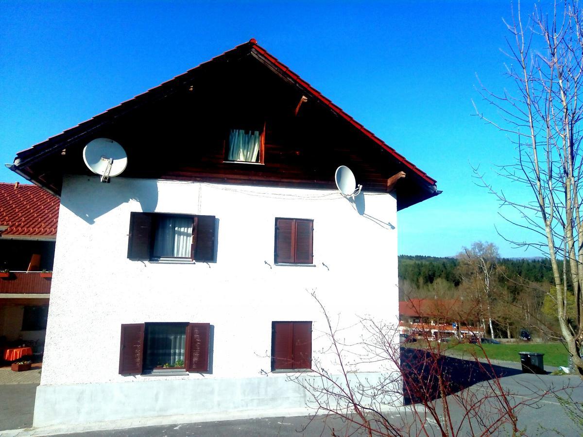 Pension Waldblick Шпигелау Экстерьер фото